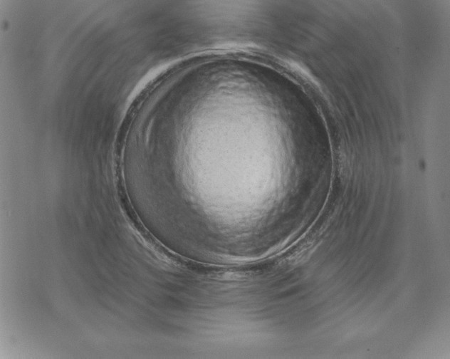 X0000074001412200609111547