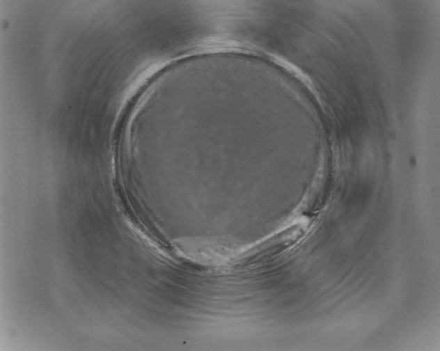 X0000074001415200609111547