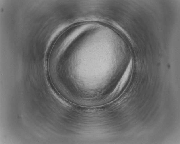 X0000074001416200609111547