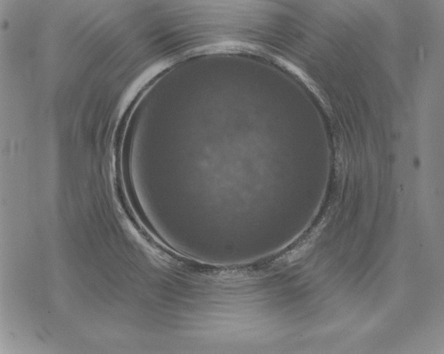 X0000074001418200609111547