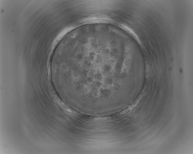 X0000074001419200609111547