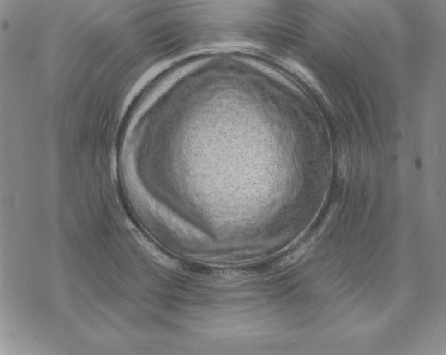 X0000074001420200609111547