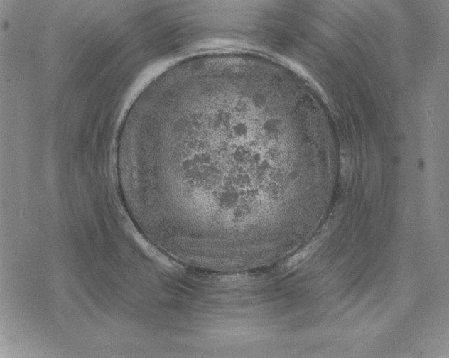 X0000074001421200609111547