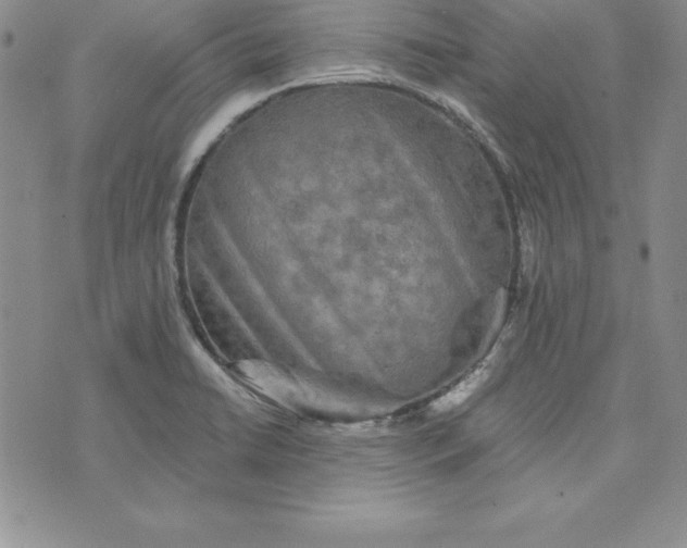 X0000074001422200609111547