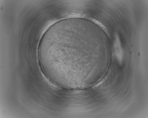 X0000074001423200609111547