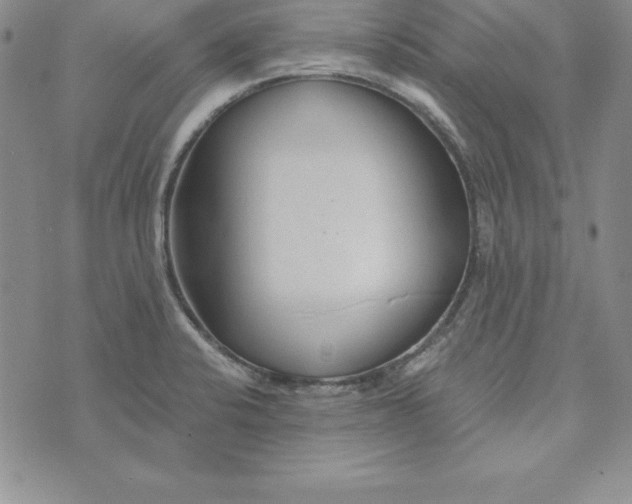 X0000074001424200609111547