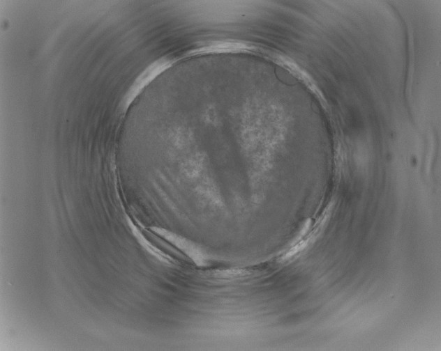 X0000074001425200609111547