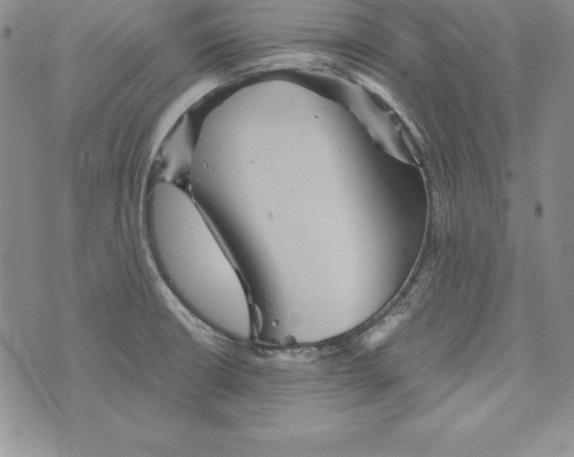 X0000074001426200609111547