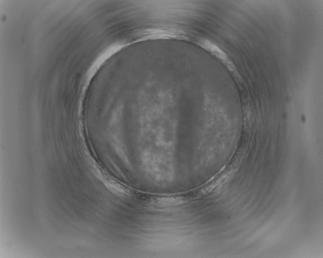 X0000074001427200609111547