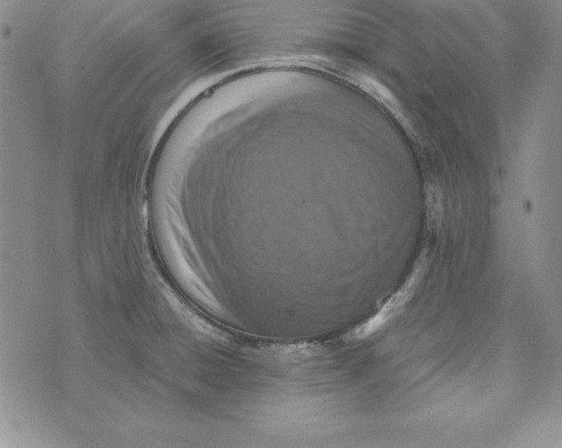 X0000074001428200609111547