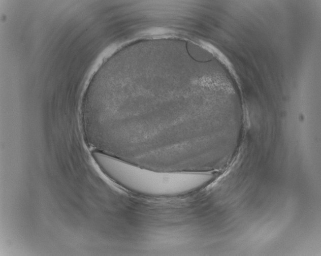 X0000074001429200609111547