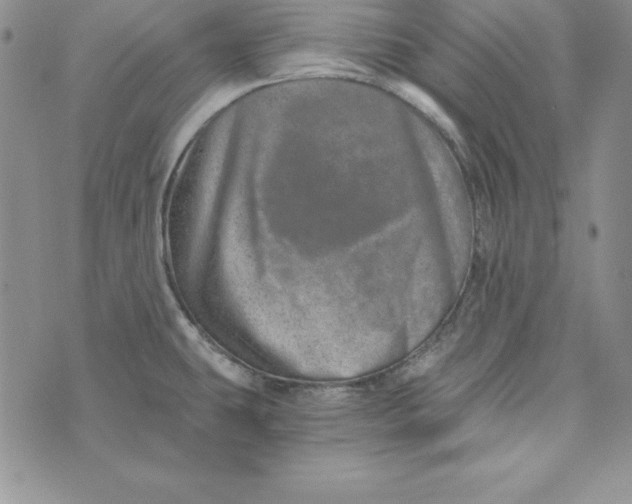 X0000074001431200609111547