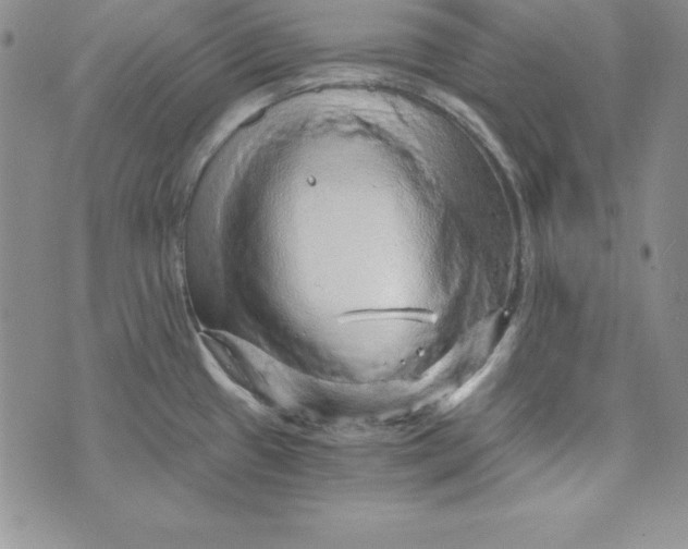 X0000074001433200609111547