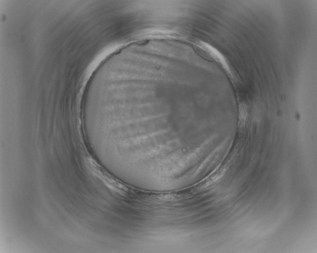 X0000074001435200609111547