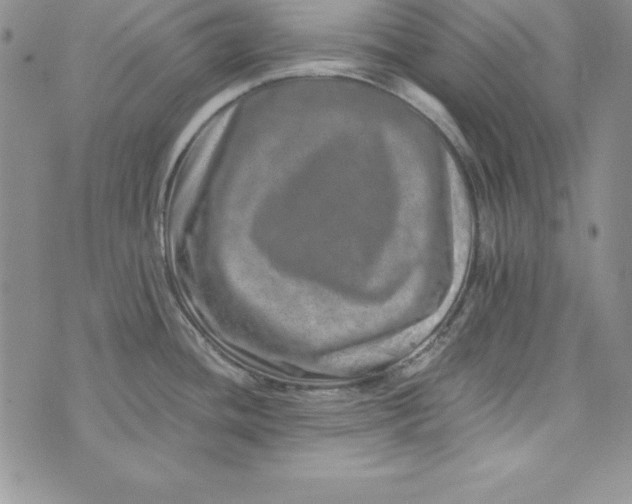 X0000074001436200609111547