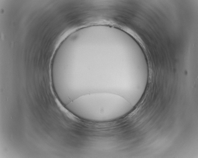 X0000074001439200609111547