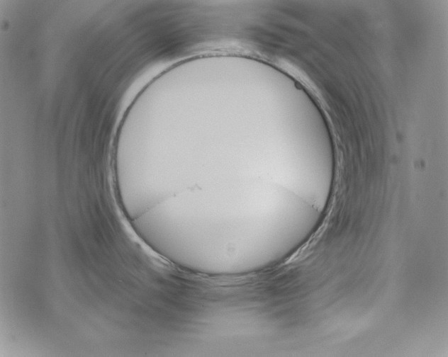 X0000074001440200609111547