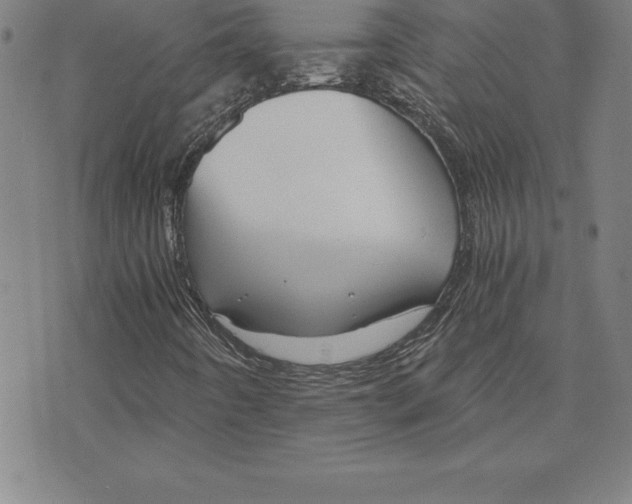 X0000074001442200609111546