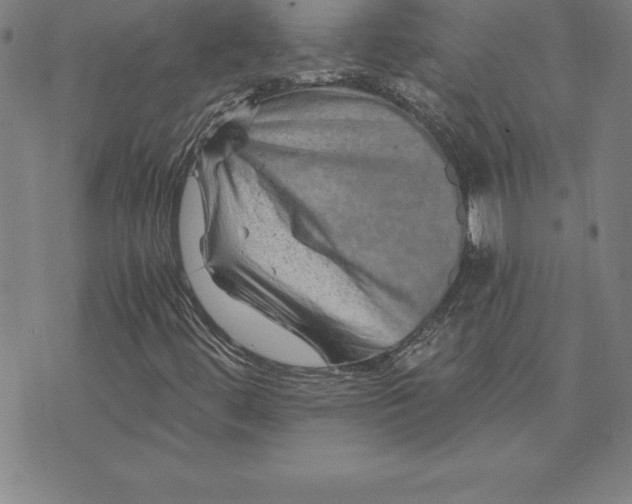 X0000074001444200609111546