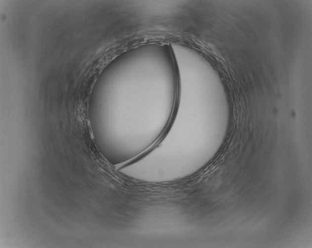 X0000074001445200609111546