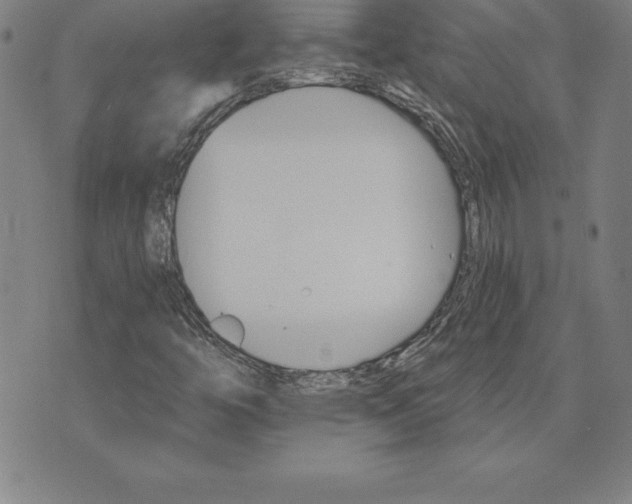 X0000074001446200609111546