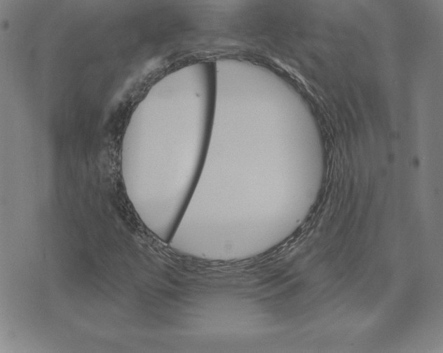 X0000074001447200609111546