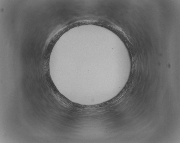 X0000074001448200609111546