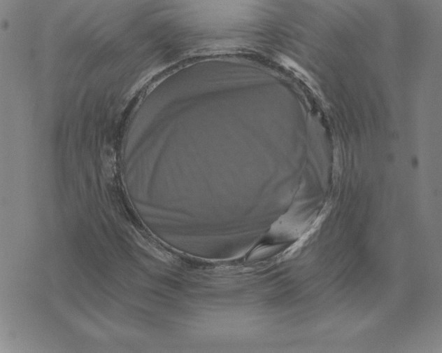 X0000074001449200609111546