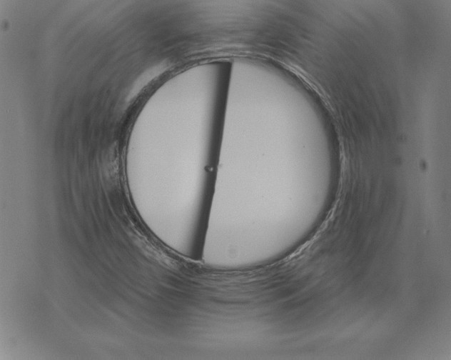 X0000074001450200609111546