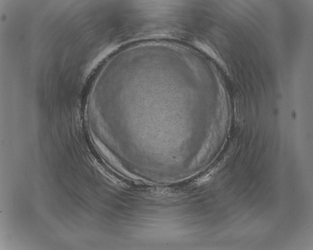 X0000074001452200609111546