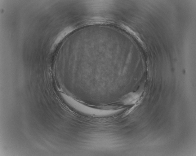 X0000074001453200609111546