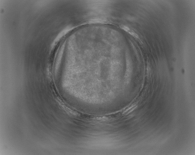 X0000074001454200609111546