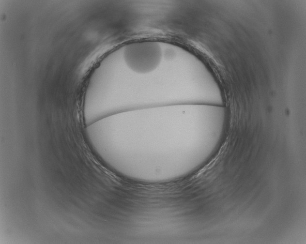 X0000074001455200609111546