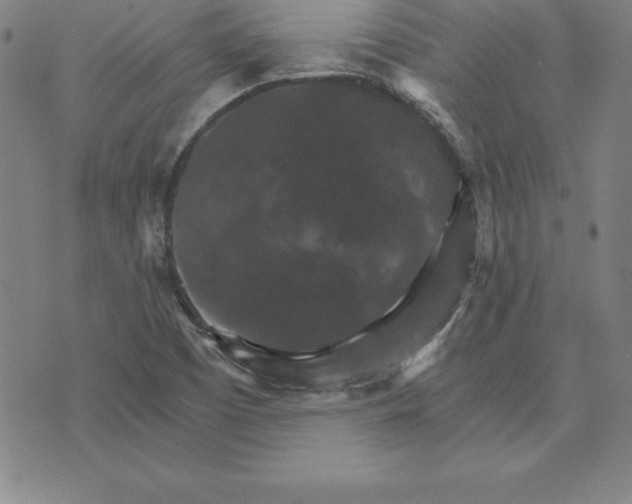 X0000074001457200609111546