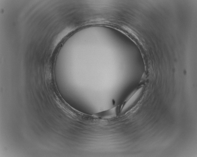 X0000074001458200609111546