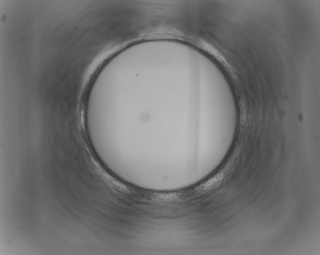 X0000074001462200609111546