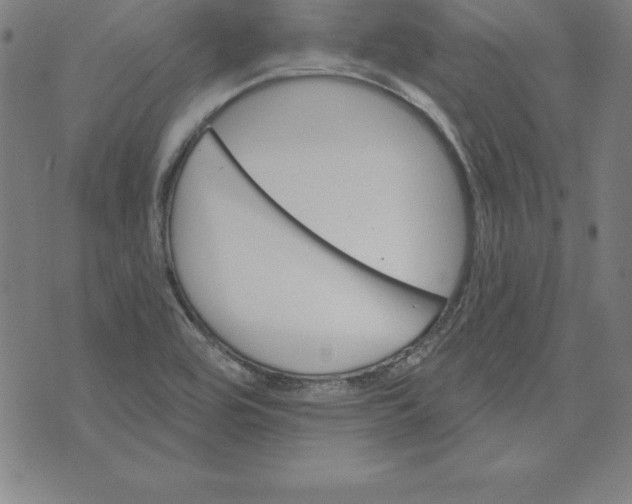 X0000074001464200609111546