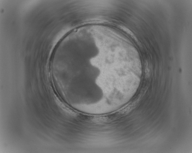 X0000074001466200609111546