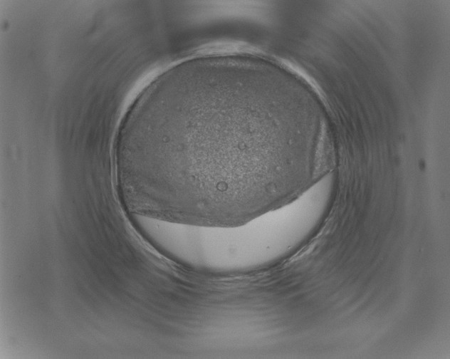 X0000074001467200609111546