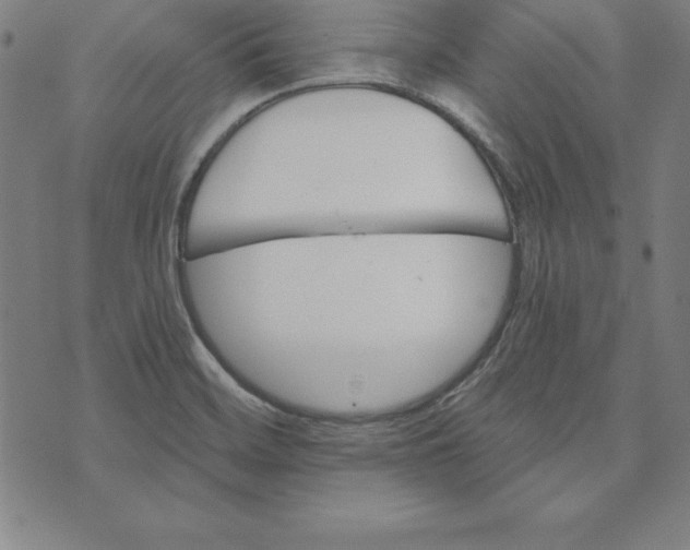 X0000074001468200609111546