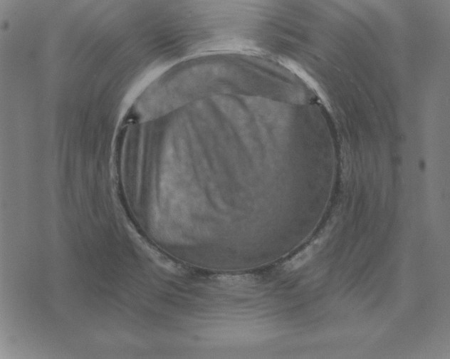 X0000074001469200609111546