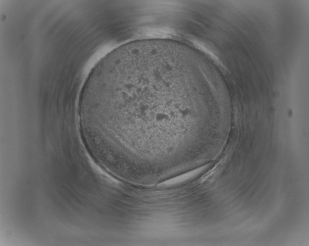 X0000074001471200609111546