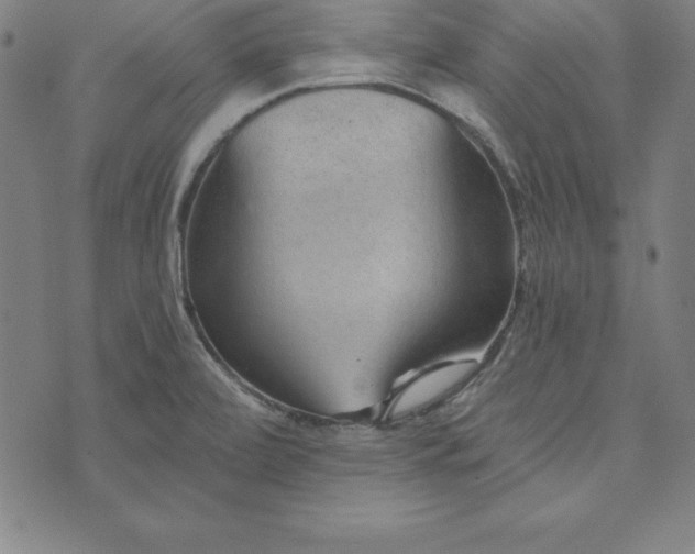 X0000074001472200609111546