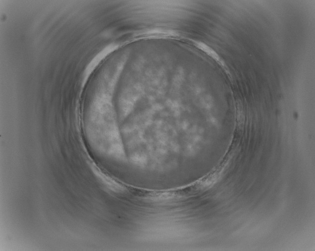 X0000074001474200609111546