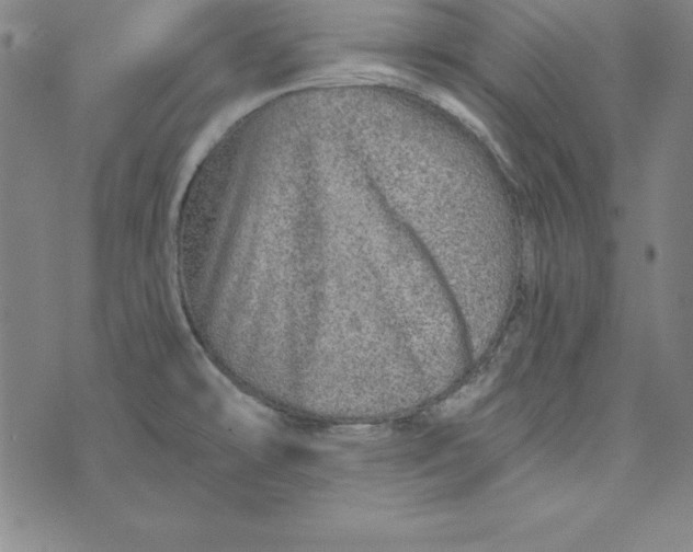 X0000074001478200609111546