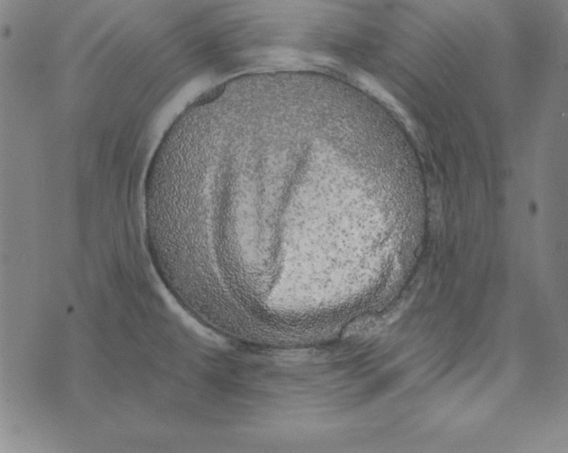 X0000074001479200609111546