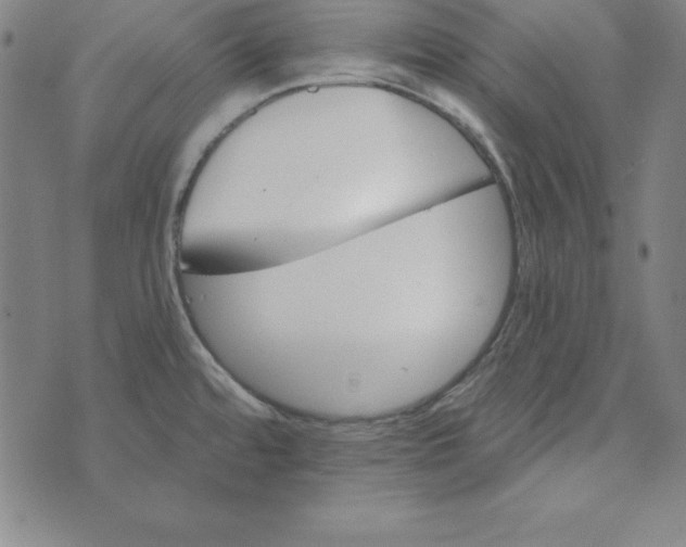 X0000074001480200609111546