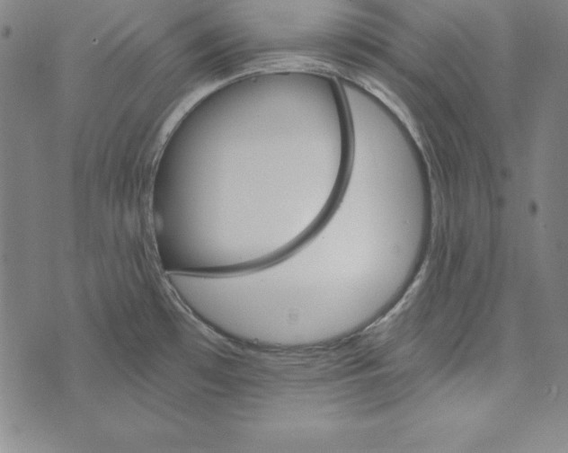 X0000074001481200609111546