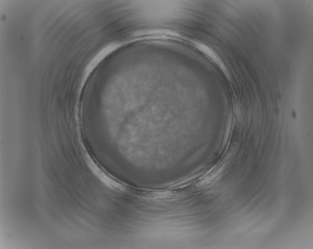 X0000074001482200609111546