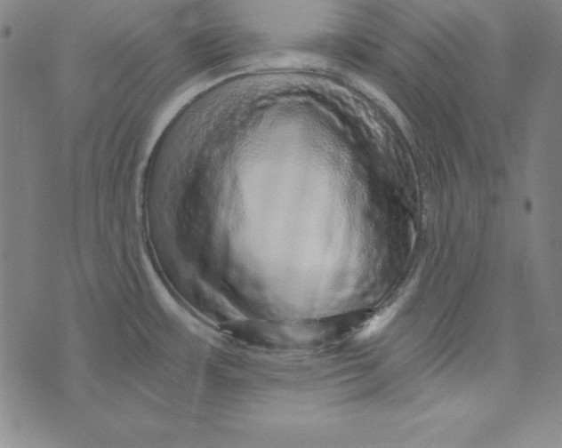 X0000074001483200609111546